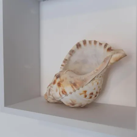 Happy アパート *