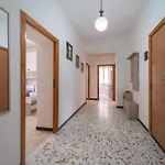 Happy Apartment *